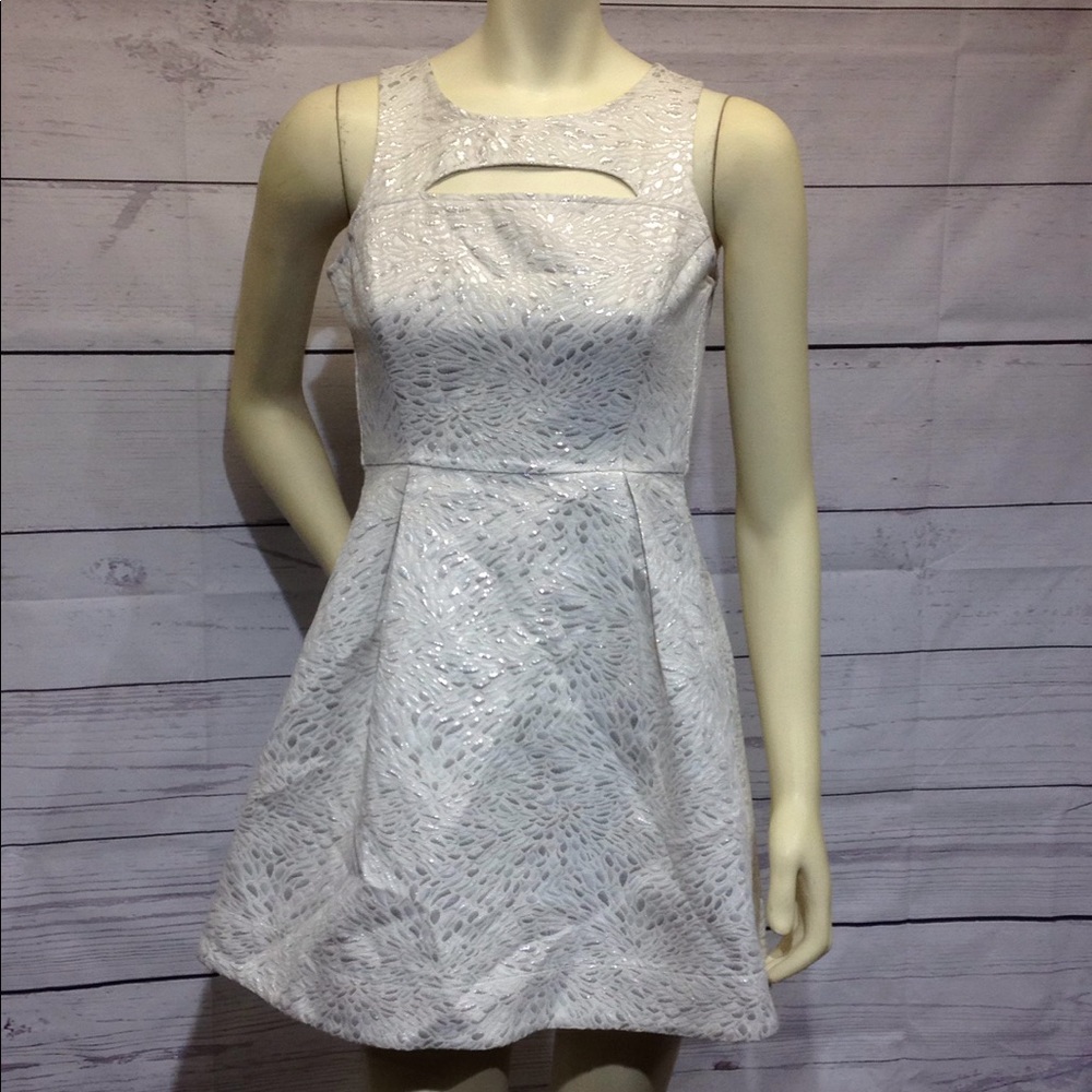 Frenchi Skater Dress Size L Metallic Silver Cream